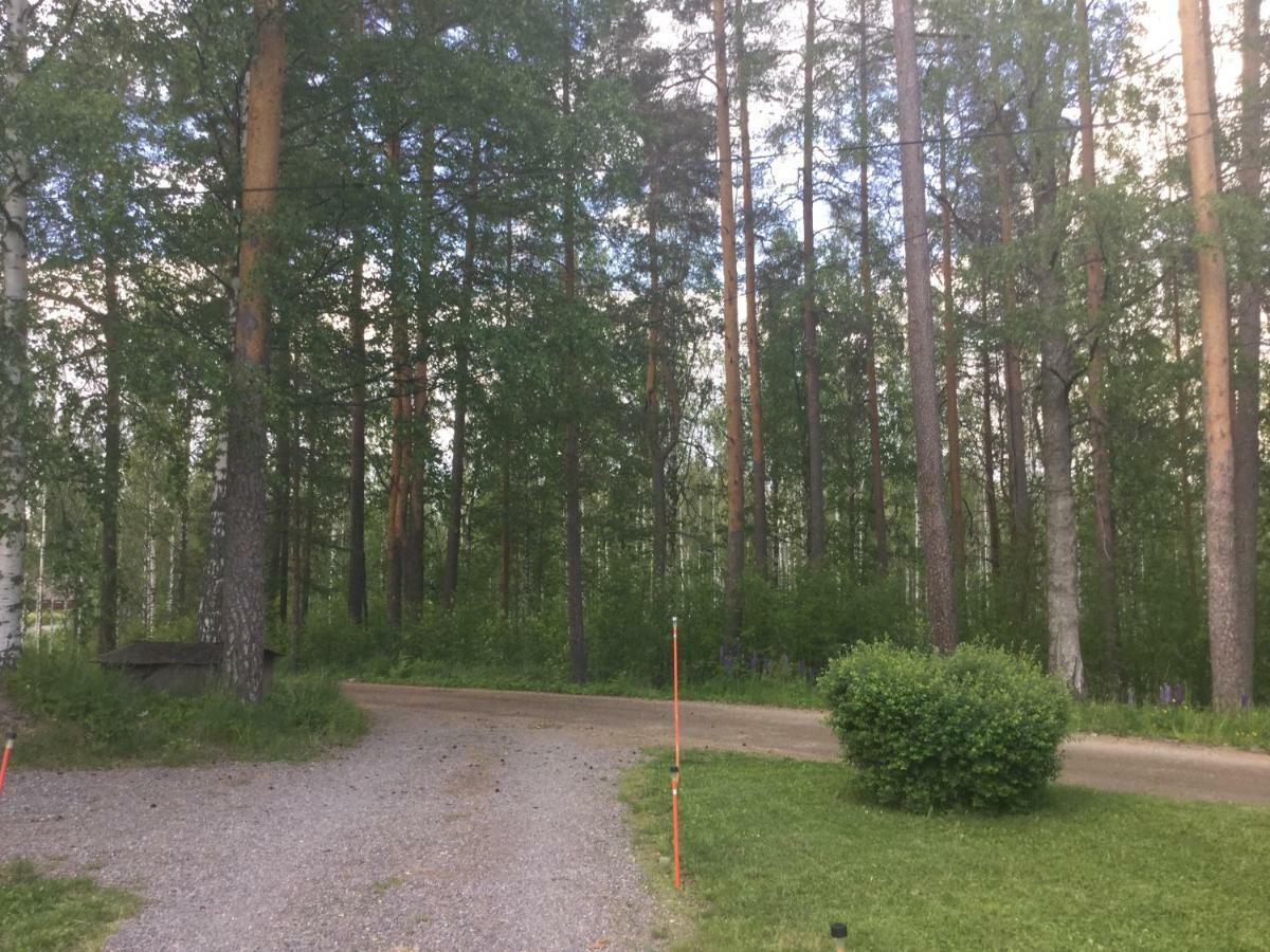 Mini-Mani Northern House Sorsakoski Екстериор снимка